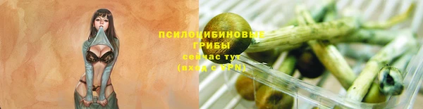 a pvp Рославль