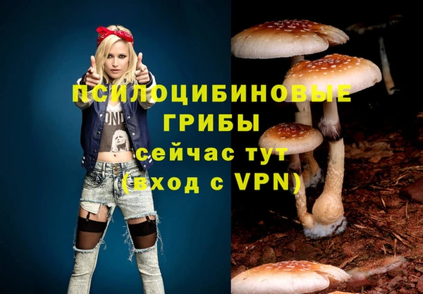скорость Алексин
